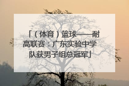 （体育）篮球——耐高联赛：广东实验中学队获男子组总冠军