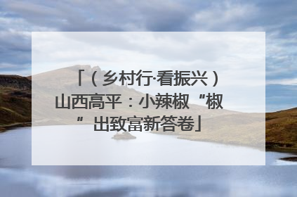 （乡村行·看振兴）山西高平：小辣椒“椒”出致富新答卷