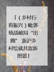 （乡村行·看振兴）毗邻统战破局“出圈” 浙沪乡村绘就共富新图景