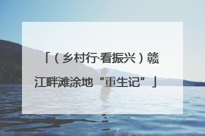 （乡村行·看振兴）赣江畔滩涂地“重生记”