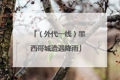 （外代一线）墨西哥城遭遇降雨