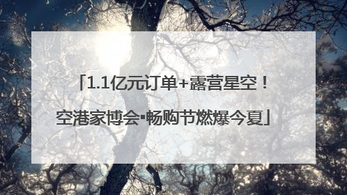 1.1亿元订单+露营星空！空港家博会▪畅购节燃爆今夏