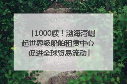 1000艘！渤海湾崛起世界级船舶租赁中心 促进全球贸易流动