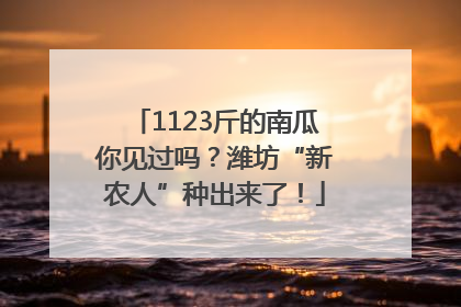 1123斤的南瓜你见过吗？潍坊“新农人”种出来了！