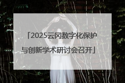 2025云冈数字化保护与创新学术研讨会召开