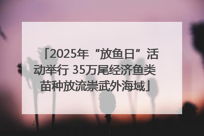 2025年“放鱼日”活动举行 35万尾经济鱼类苗种放流崇武外海域