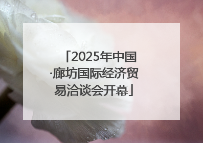 2025年中国·廊坊国际经济贸易洽谈会开幕