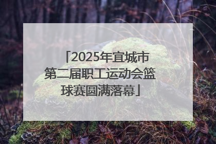 2025年宜城市第二届职工运动会篮球赛圆满落幕