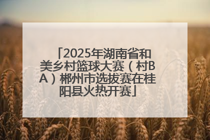2025年湖南省和美乡村篮球大赛（村BA）郴州市选拔赛在桂阳县火热开赛