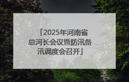 2025年河南省总河长会议暨防汛备汛调度会召开