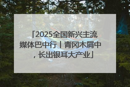 2025全国新兴主流媒体巴中行丨青冈木屑中，长出银耳大产业