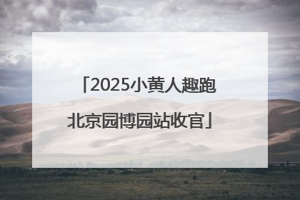 2025小黄人趣跑北京园博园站收官