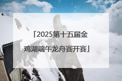 2025第十五届金鸡湖端午龙舟赛开赛