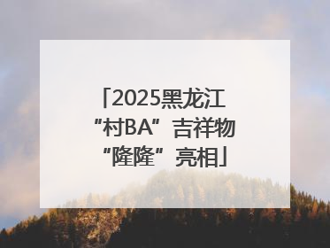 2025黑龙江“村BA”吉祥物“隆隆”亮相