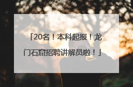 20名！本科起报！龙门石窟招聘讲解员啦！
