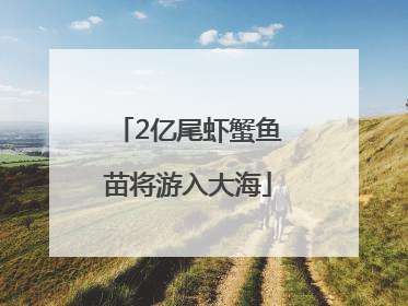 2亿尾虾蟹鱼苗将游入大海