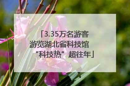 3.35万名游客游览湖北省科技馆 “科技热”超往年