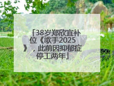 38岁郑欣宜补位《歌手2025》，此前因抑郁症停工两年