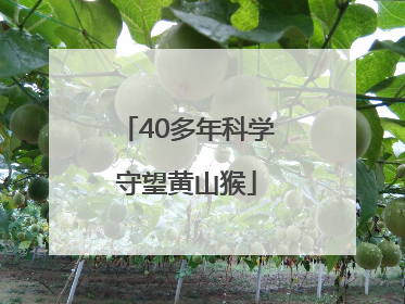 40多年科学守望黄山猴