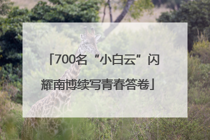 700名“小白云”闪耀南博续写青春答卷
