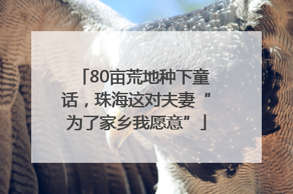 80亩荒地种下童话，珠海这对夫妻“为了家乡我愿意”