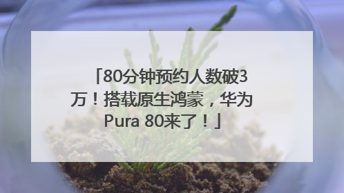 80分钟预约人数破3万！搭载原生鸿蒙，华为Pura 80来了！