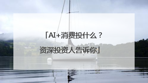 AI+消费投什么？资深投资人告诉你