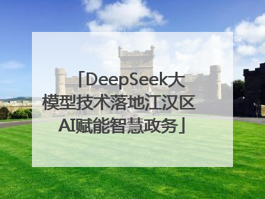 DeepSeek大模型技术落地江汉区 AI赋能智慧政务